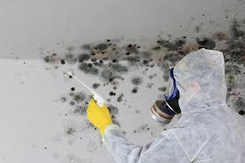 Best Mold Remediation for Healthcare Facilities  in Limestone, IL